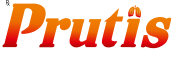 Footer Image